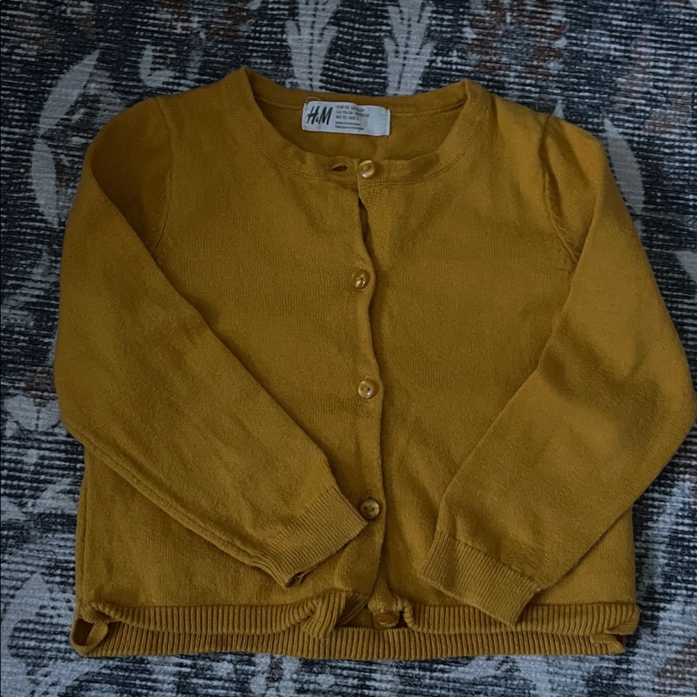Girls 12-18 Month H&M/Carters Fall/Winter Set - Picture 2 of 15